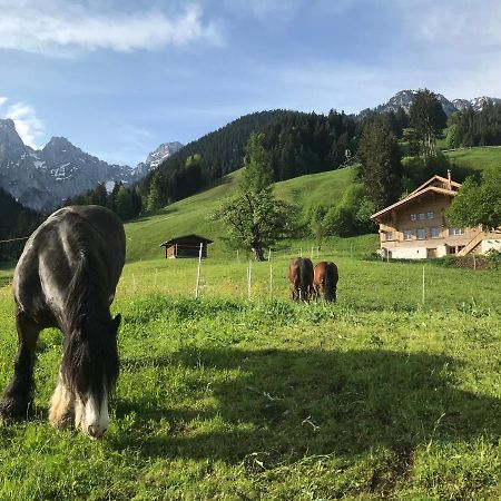 Bed and Breakfast Au Pre Des Chevaux Шато-д'Е Екстер'єр фото