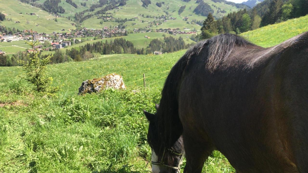 Bed and Breakfast Au Pre Des Chevaux Шато-д'Е Екстер'єр фото