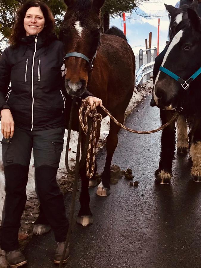 Bed and Breakfast Au Pre Des Chevaux Шато-д'Е Екстер'єр фото