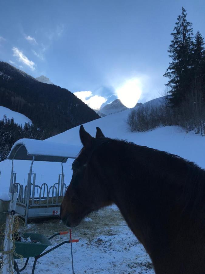 Bed and Breakfast Au Pre Des Chevaux Шато-д'Е Екстер'єр фото