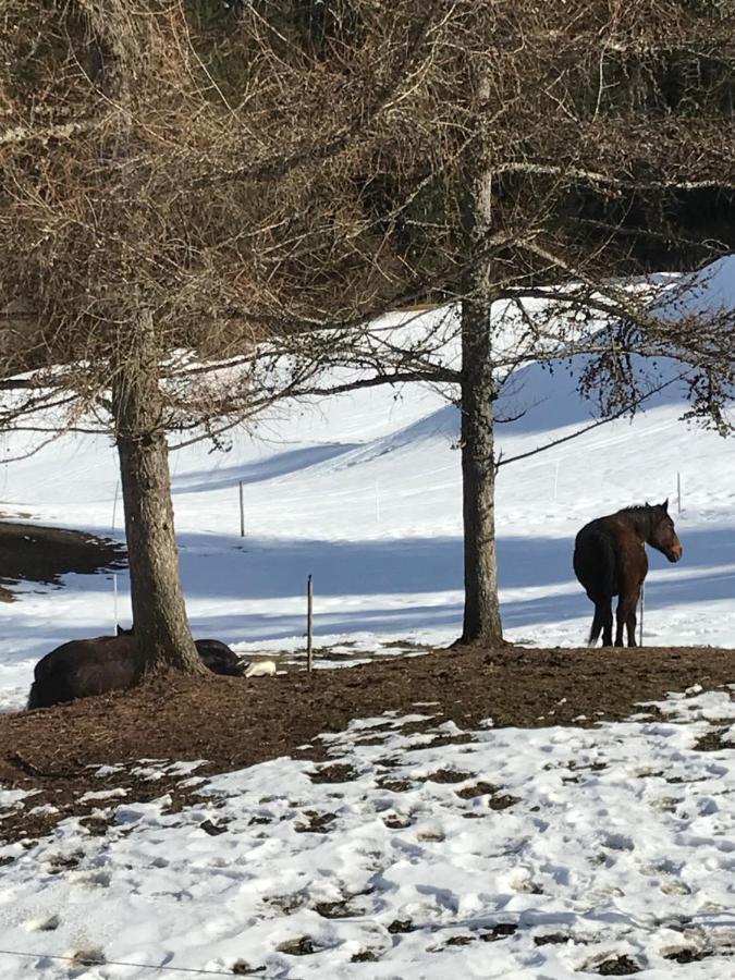 Bed and Breakfast Au Pre Des Chevaux Шато-д'Е Екстер'єр фото