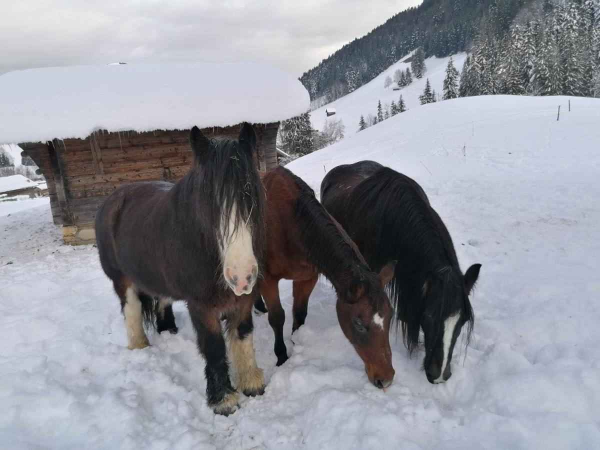 Bed and Breakfast Au Pre Des Chevaux Шато-д'Е Екстер'єр фото