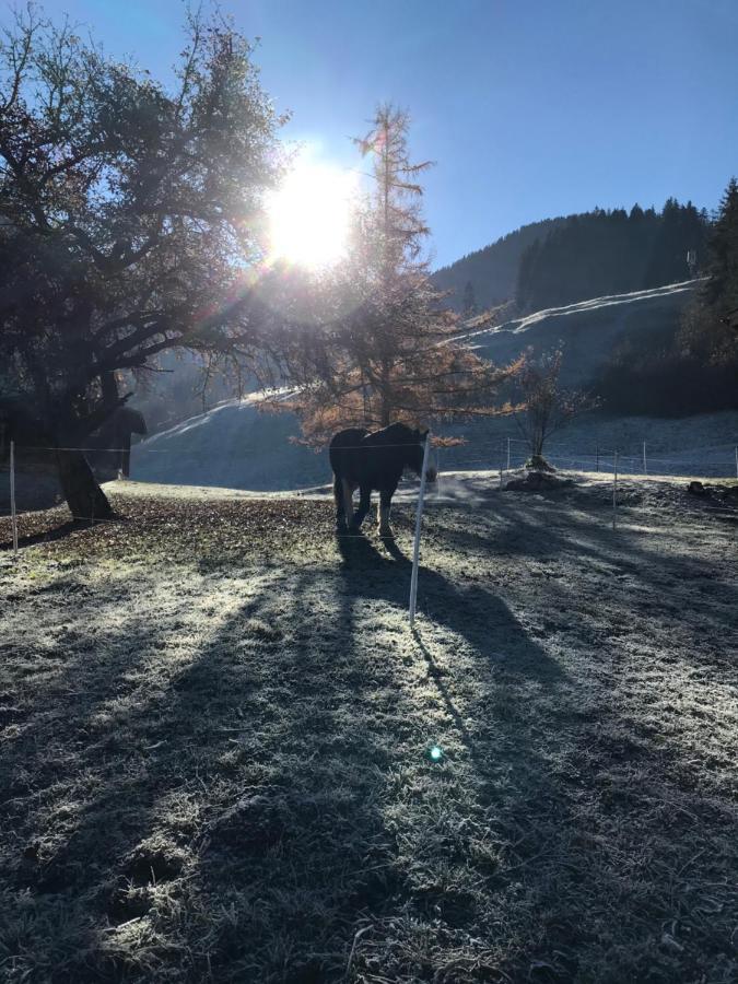 Bed and Breakfast Au Pre Des Chevaux Шато-д'Е Екстер'єр фото