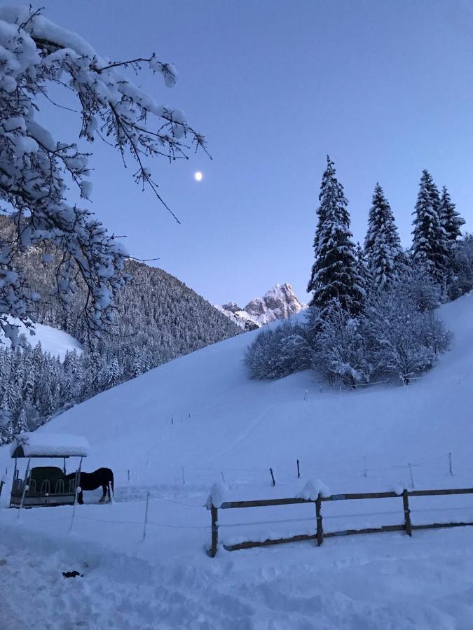 Bed and Breakfast Au Pre Des Chevaux Шато-д'Е Екстер'єр фото