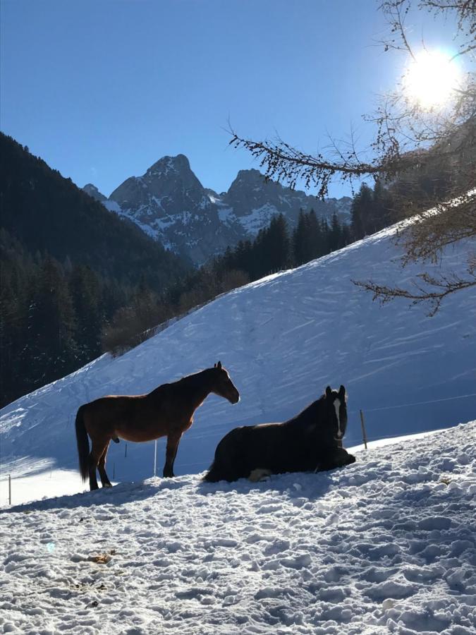 Bed and Breakfast Au Pre Des Chevaux Шато-д'Е Екстер'єр фото