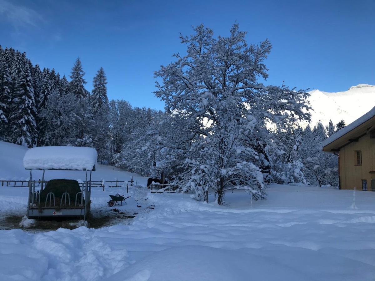 Bed and Breakfast Au Pre Des Chevaux Шато-д'Е Екстер'єр фото