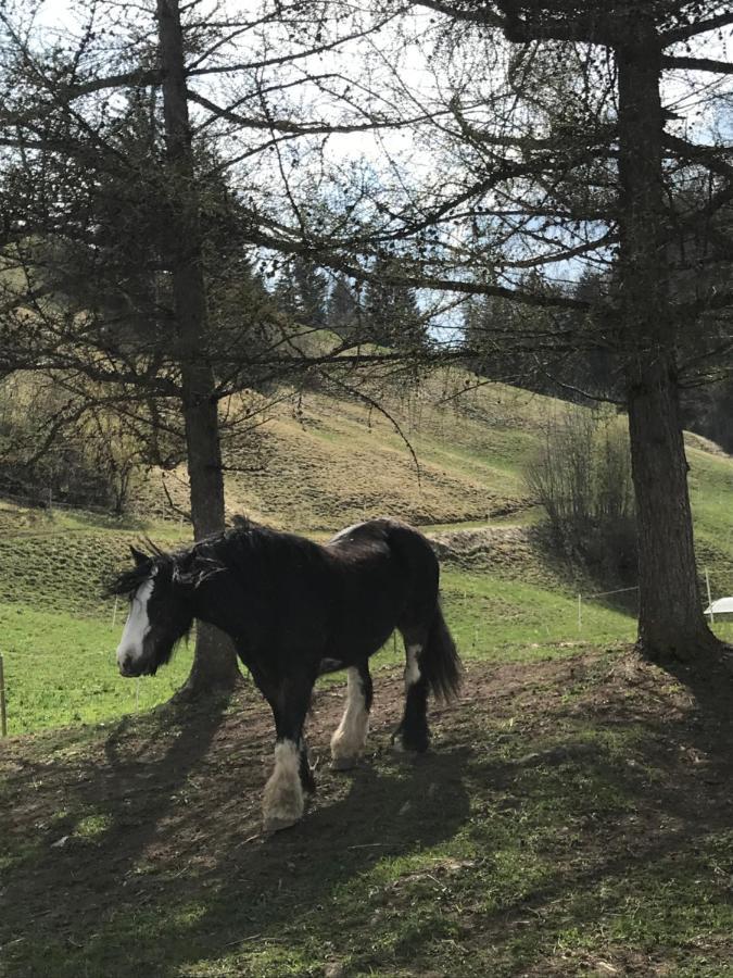 Bed and Breakfast Au Pre Des Chevaux Шато-д'Е Екстер'єр фото