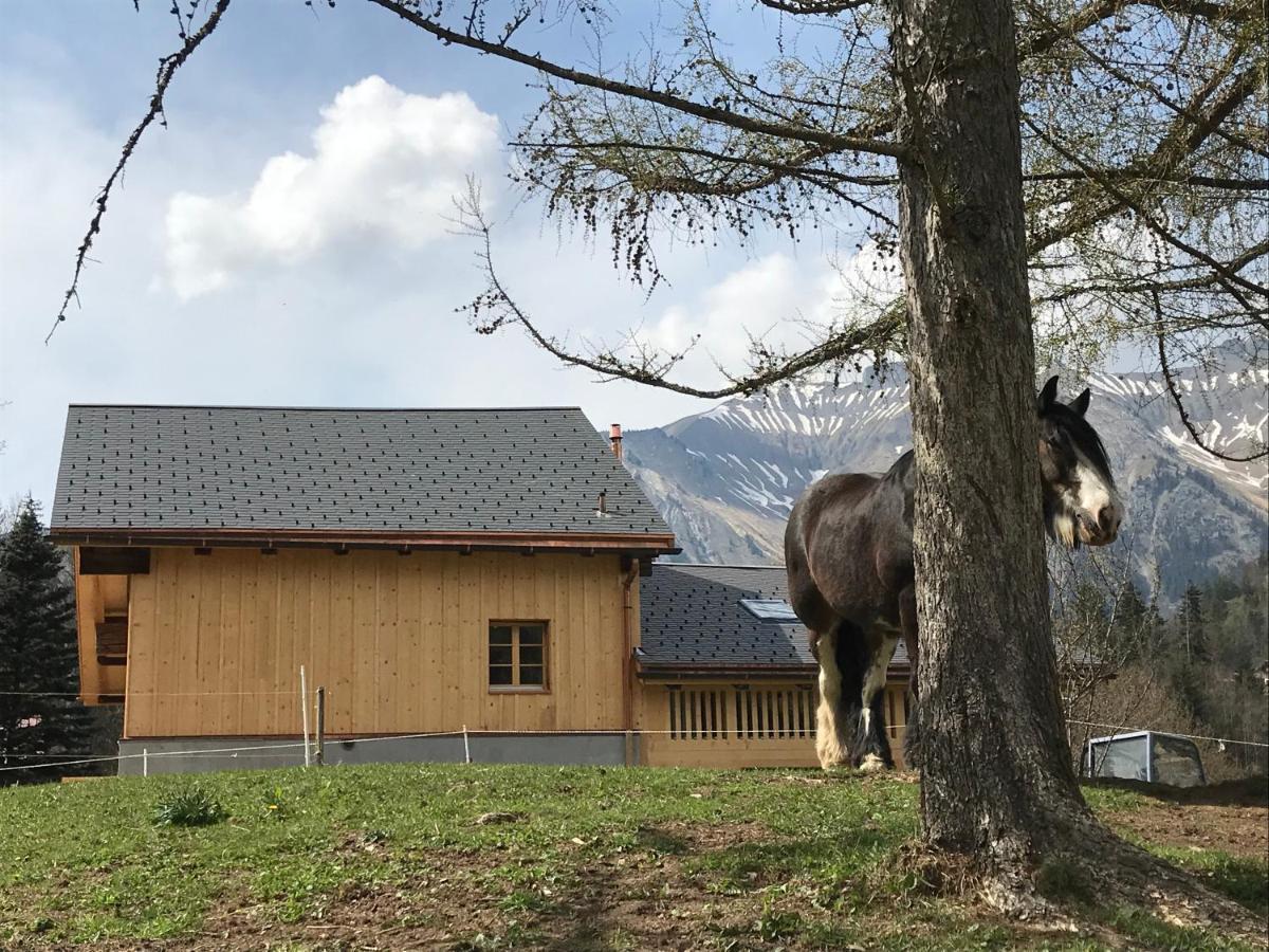 Bed and Breakfast Au Pre Des Chevaux Шато-д'Е Екстер'єр фото